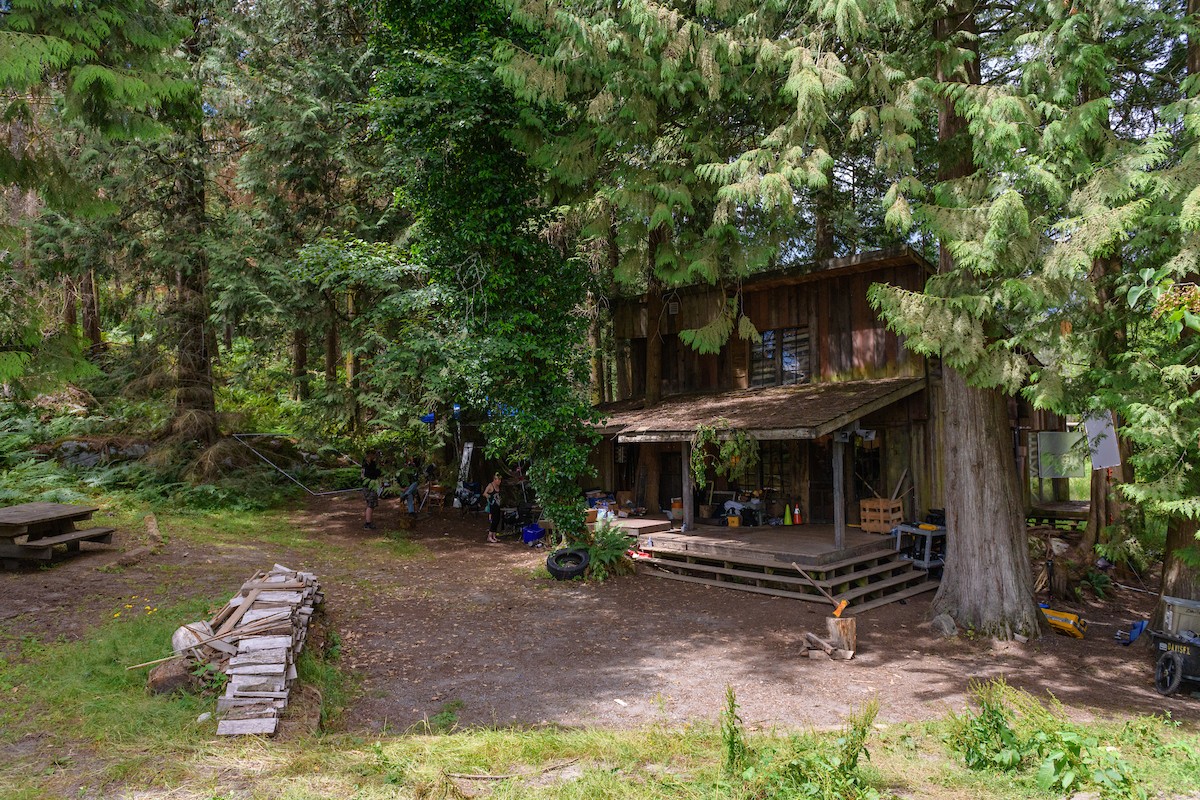 森の中の一軒の小屋に隠された真実とは　カナダ発スリラー『キル バード 森に潜む反逆者』予告