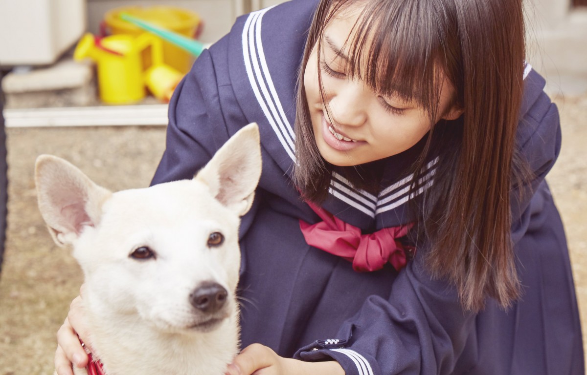 欅坂46・小林由依、セーラー服姿でみせる優しい表情も 『さくら』場面カット公開
