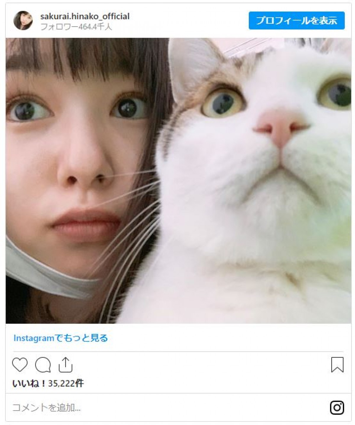 桜井日奈子、愛猫と“表情そっくり”ショット　ファン驚き