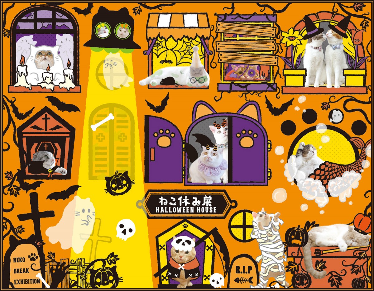 「ねこ休み展」新作を揃えて１年ぶりに大阪で開催！