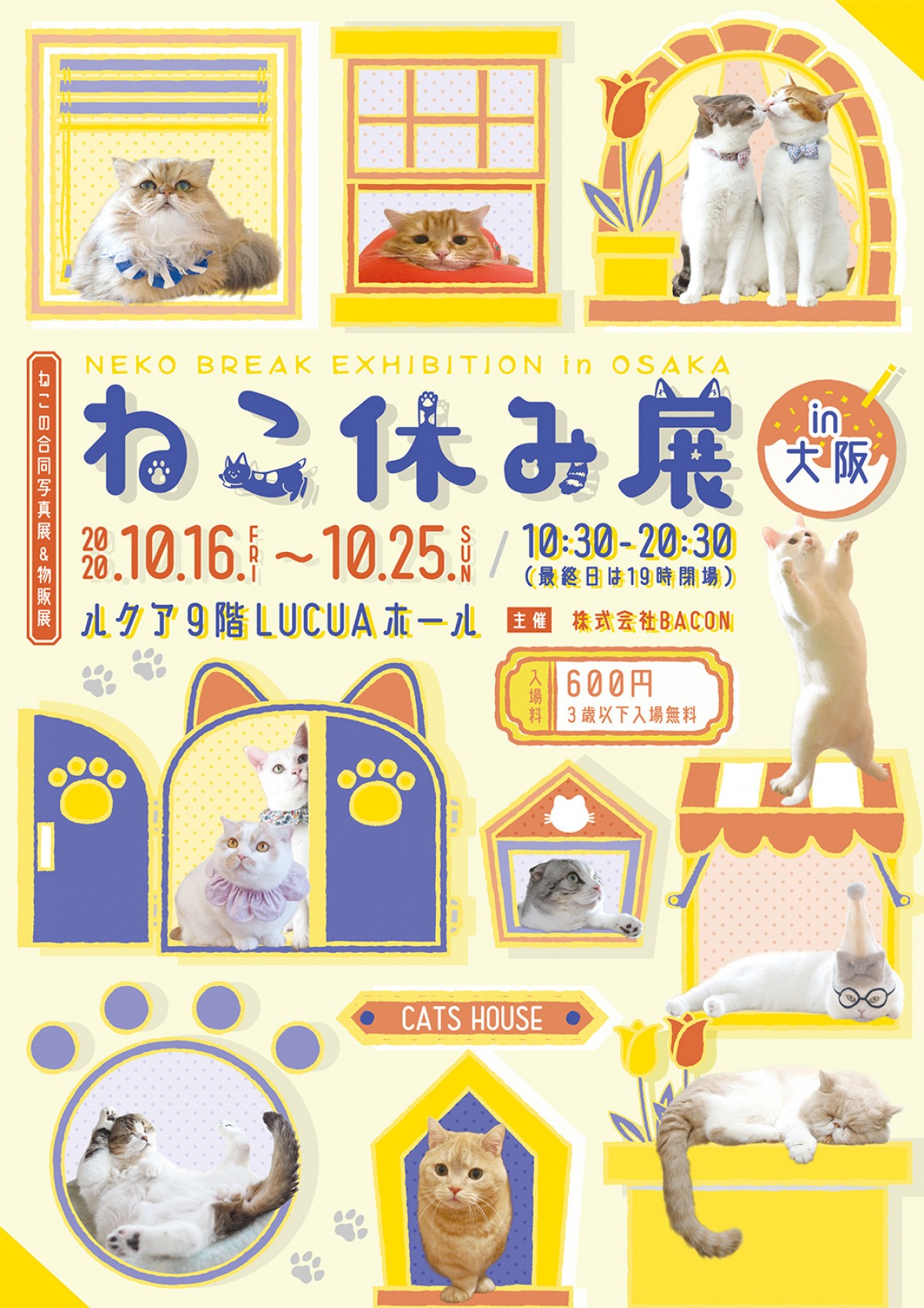 「ねこ休み展」新作を揃えて１年ぶりに大阪で開催！