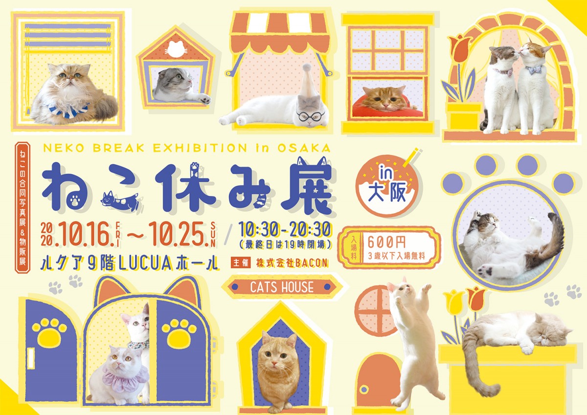 「ねこ休み展」新作を揃えて１年ぶりに大阪で開催！