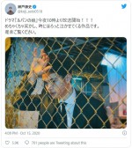 瀬戸康史、フェンス越しショット　※「瀬戸康史」ツイッター