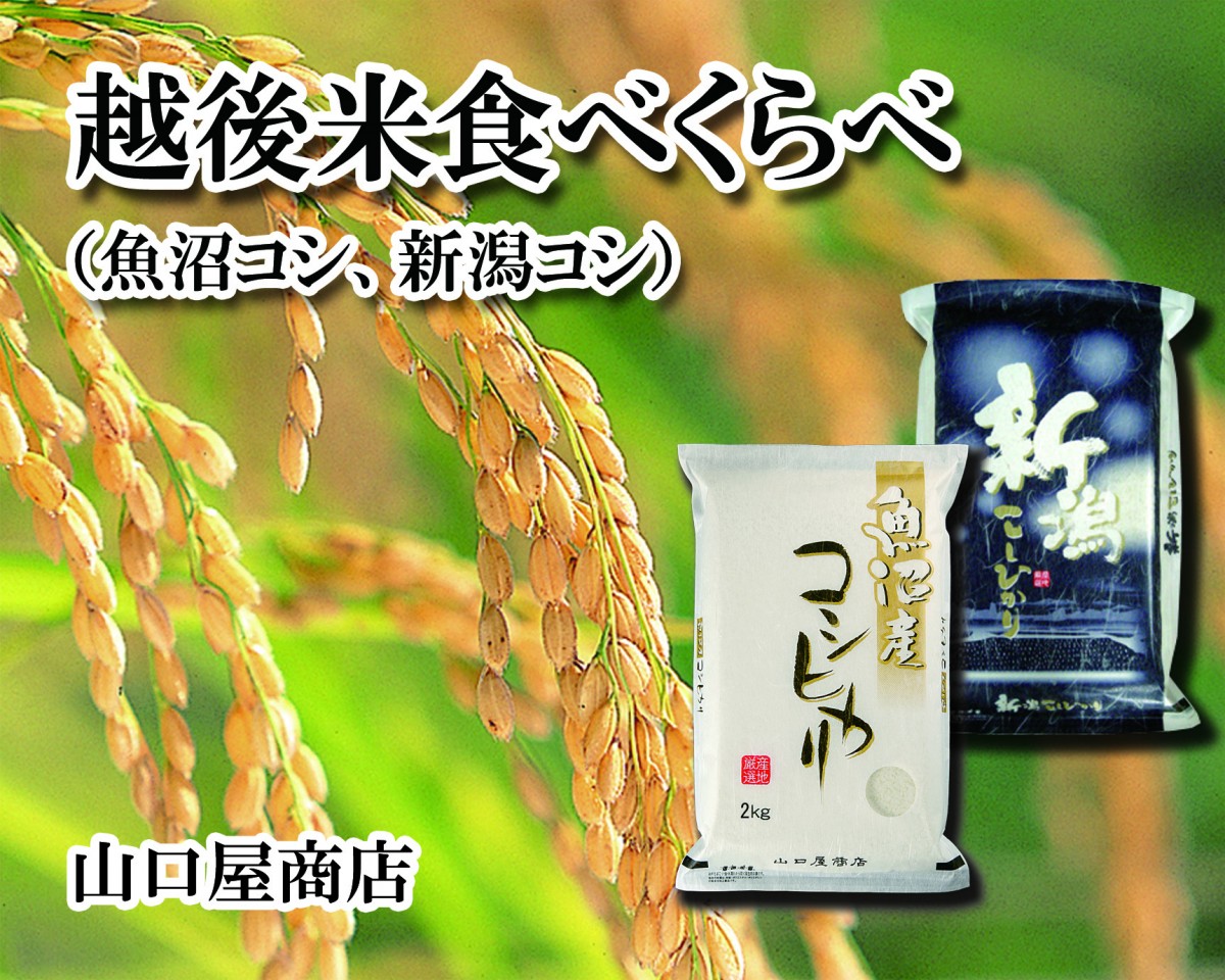 新潟の食＆工芸品が大集合！「大新潟展」開催