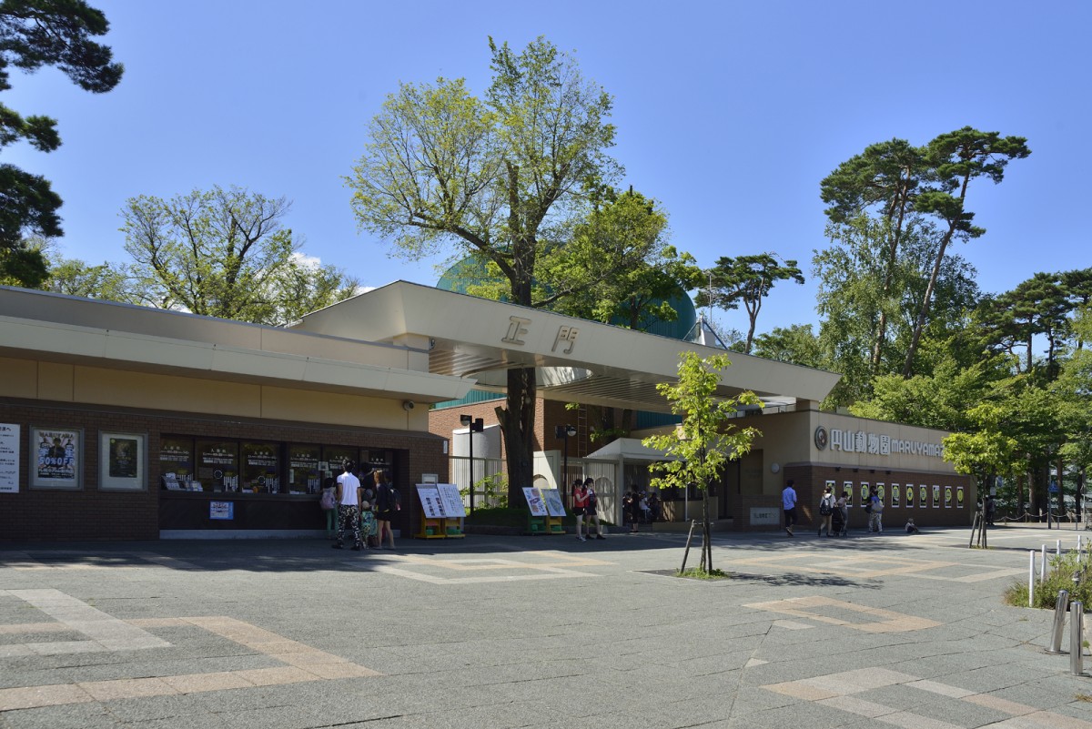 札幌プリンスホテルと円山動物園がコラボ！