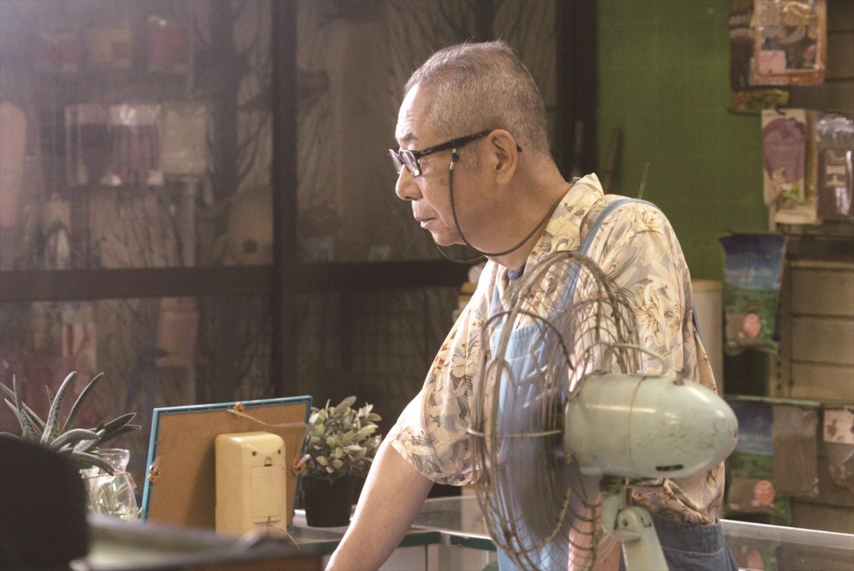 池田エライザ監督映画『夏、至るころ』予告完成　現役高校生シンガー・崎山蒼志が主題歌担当