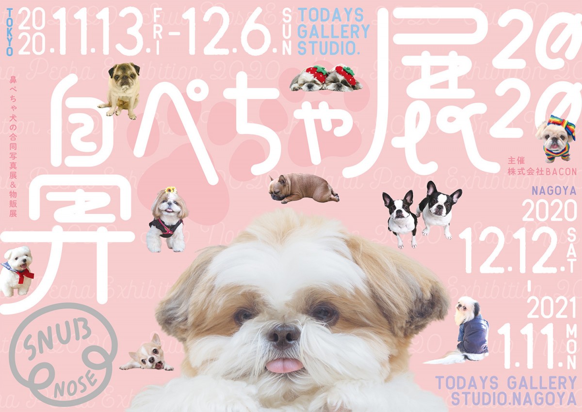鼻ぺちゃ展 2020