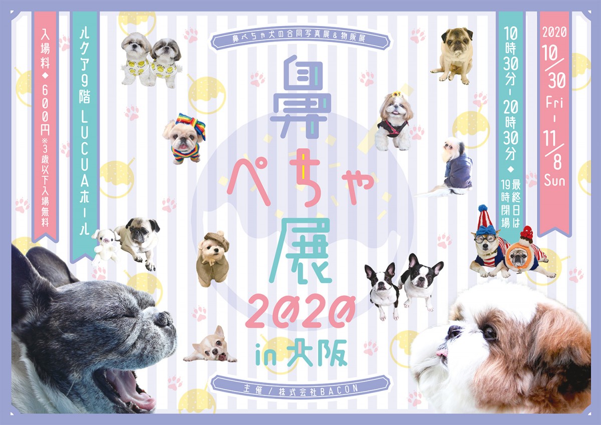 鼻ぺちゃ展 2020