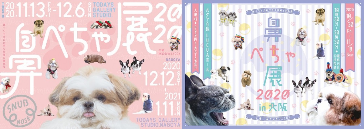 鼻ぺちゃ展 2020