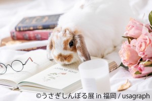 うさぎしんぼる展 in 福岡