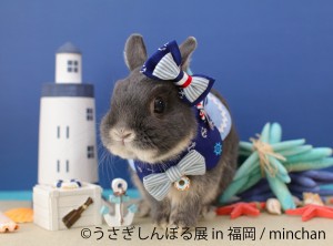 うさぎしんぼる展 in 福岡