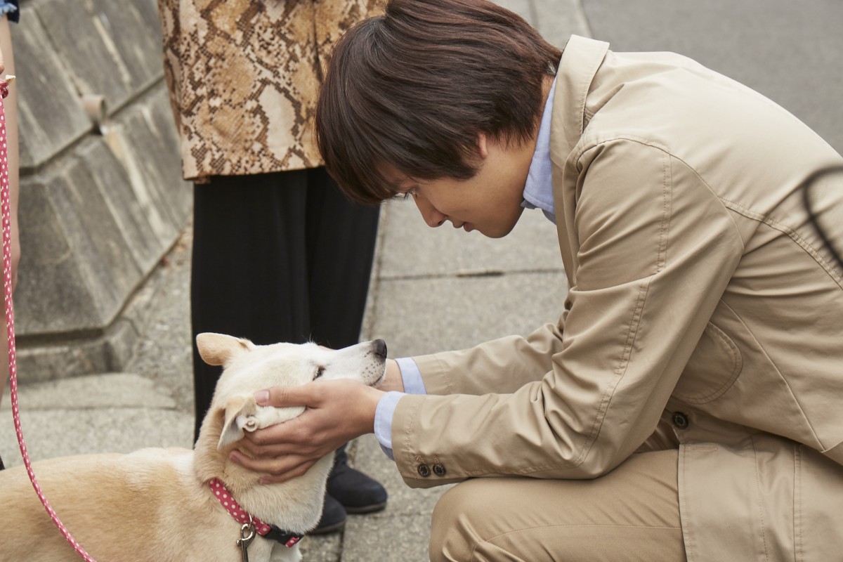 北村匠海、小松菜奈、吉沢亮ら、愛犬とのキスショットも 『さくら』メイキングカット公開