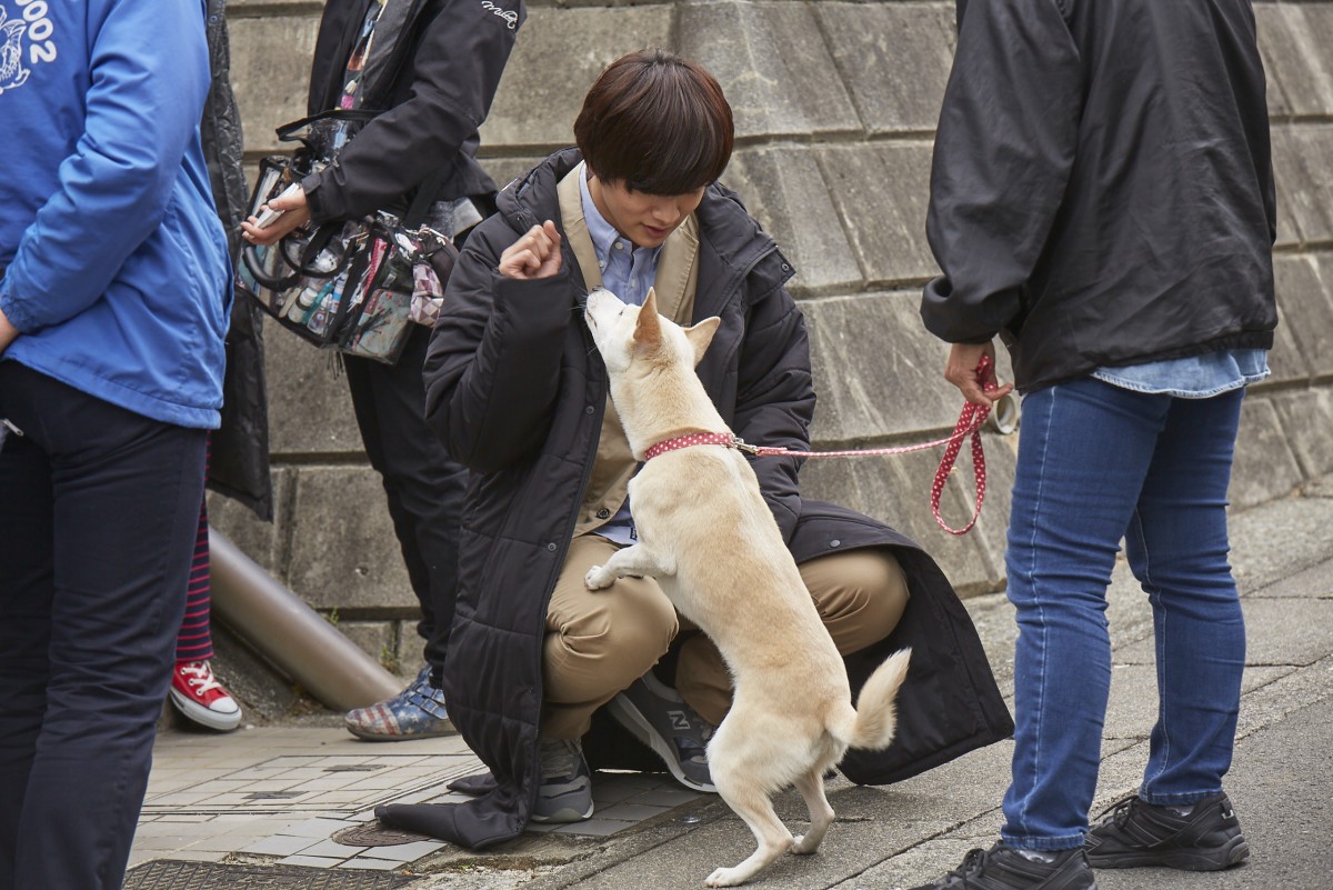 北村匠海、小松菜奈、吉沢亮ら、愛犬とのキスショットも 『さくら』メイキングカット公開