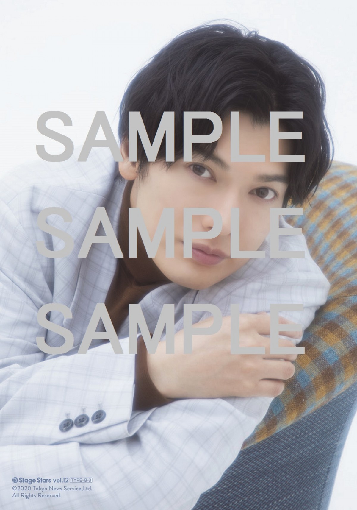 「TVガイド Stage Stars vol．12」