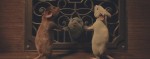 映画『魔女がいっぱい』場面写真