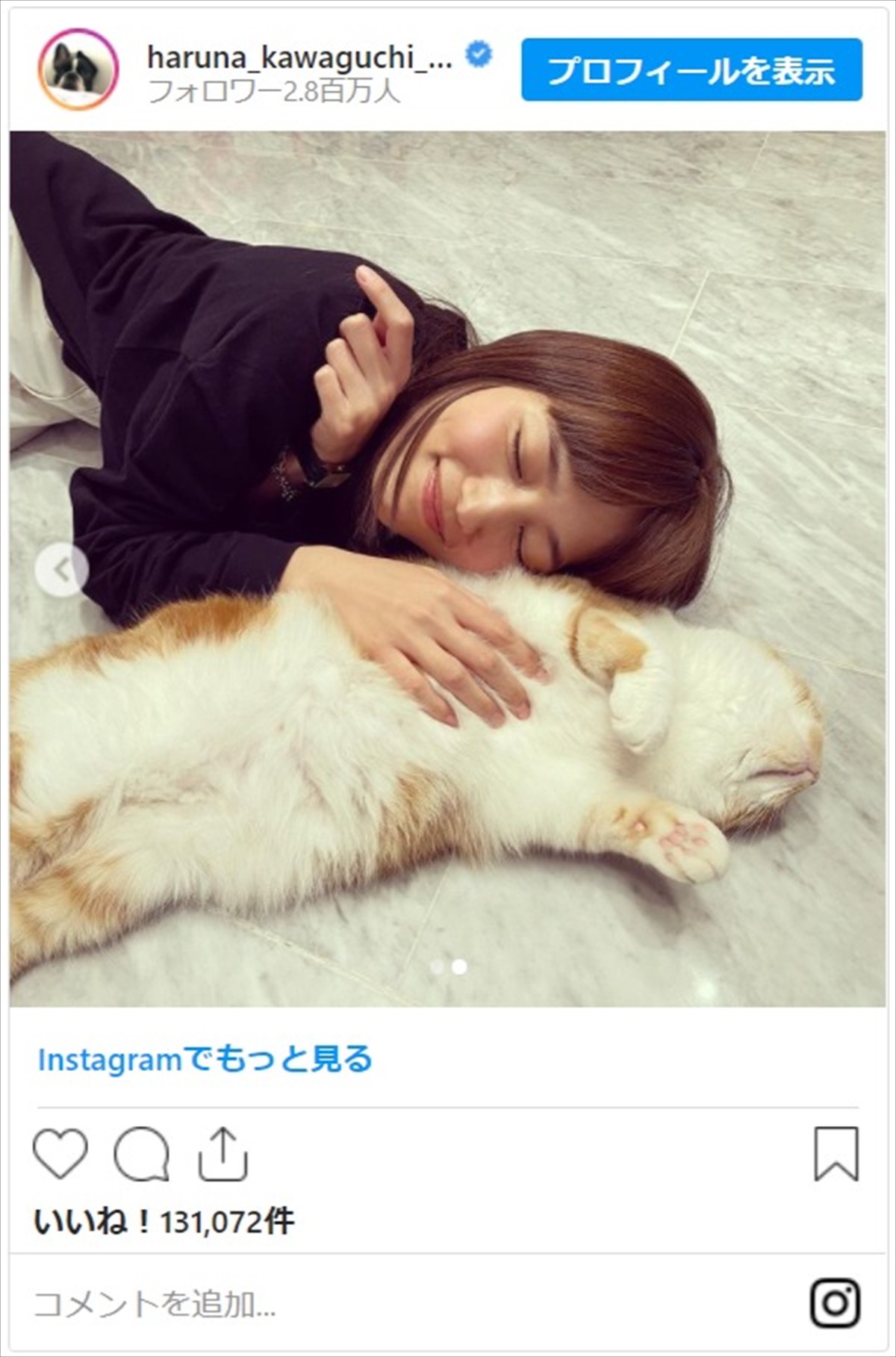 川口春奈、HIKAKIN愛猫とかわいすぎる添い寝に反響「どちらも癒しすぎて」