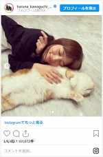 川口春奈、HIKAKIN愛猫とかわいすぎる添い寝　※「川口春奈」インスタグラム