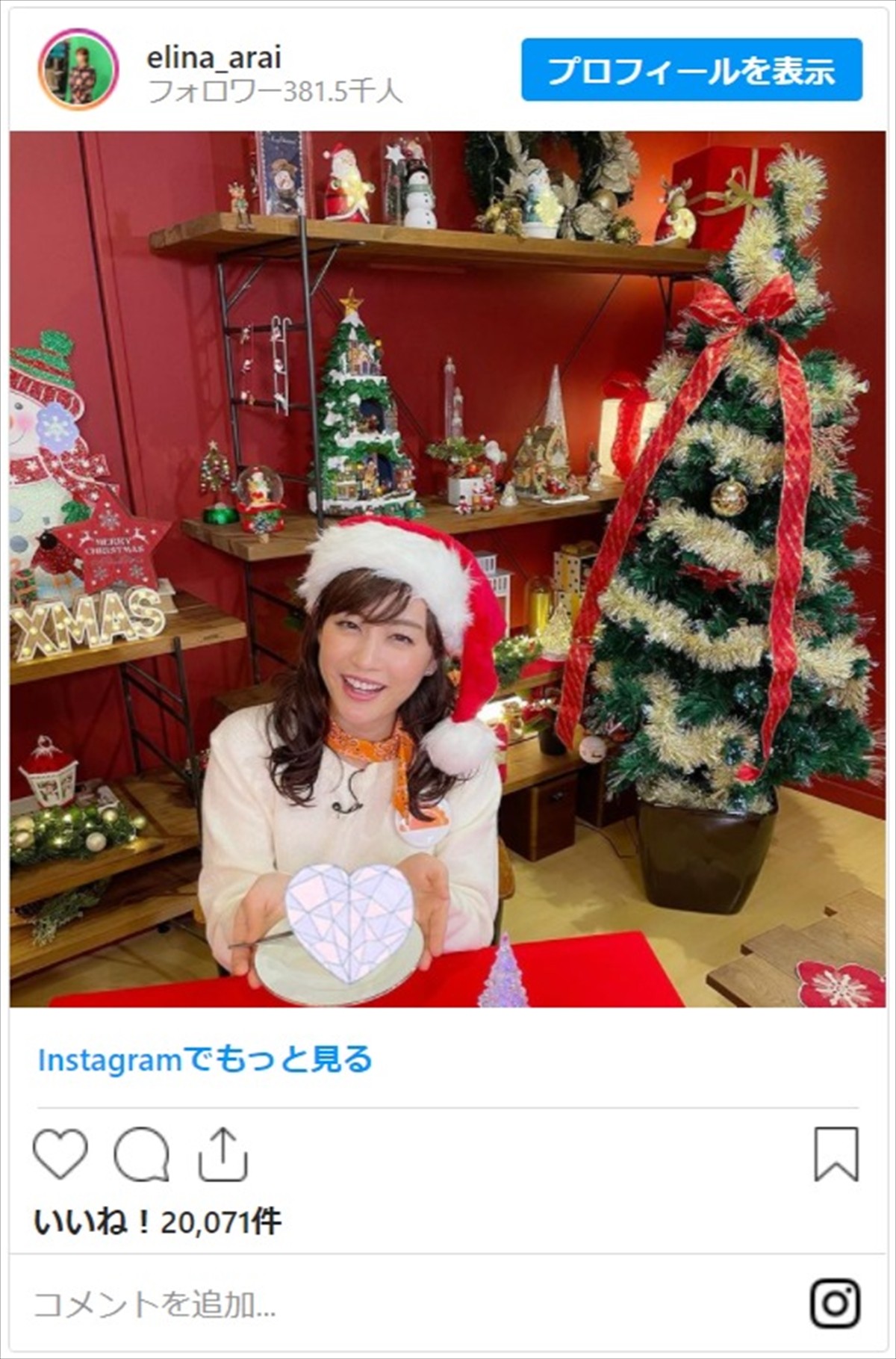 新井恵理那、クリスマス先取りショットにネット「サンタさん可愛い～」