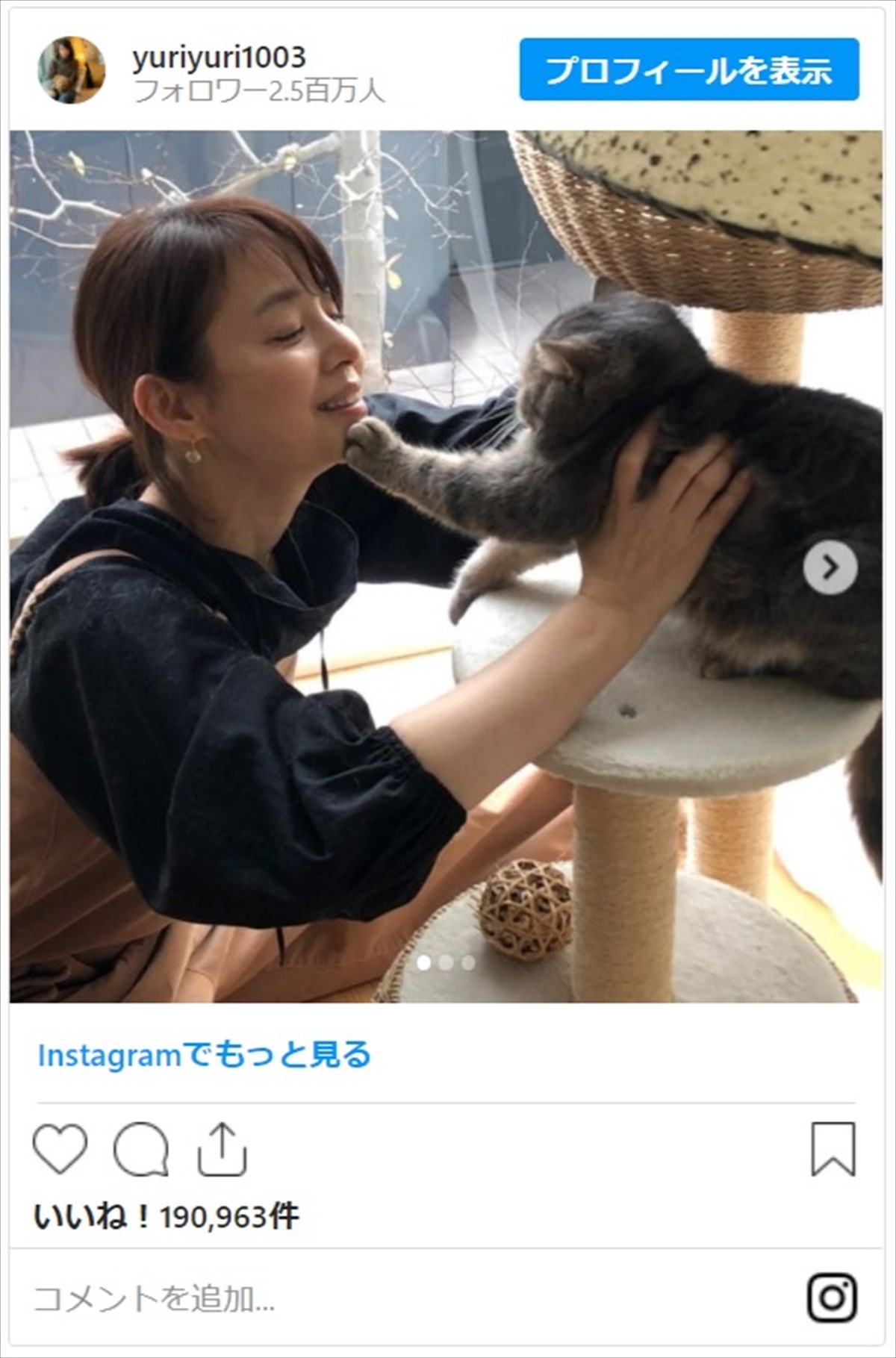 石田ゆり子「嫌がられても気にしない」 猫とじゃれる姿にネットほっこり