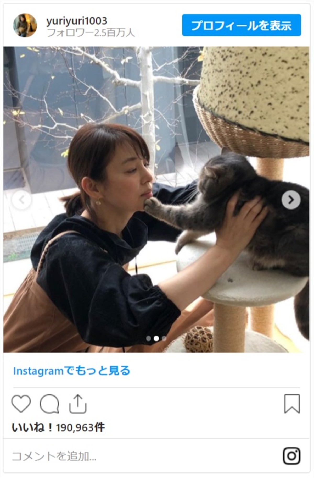 石田ゆり子「嫌がられても気にしない」 猫とじゃれる姿にネットほっこり