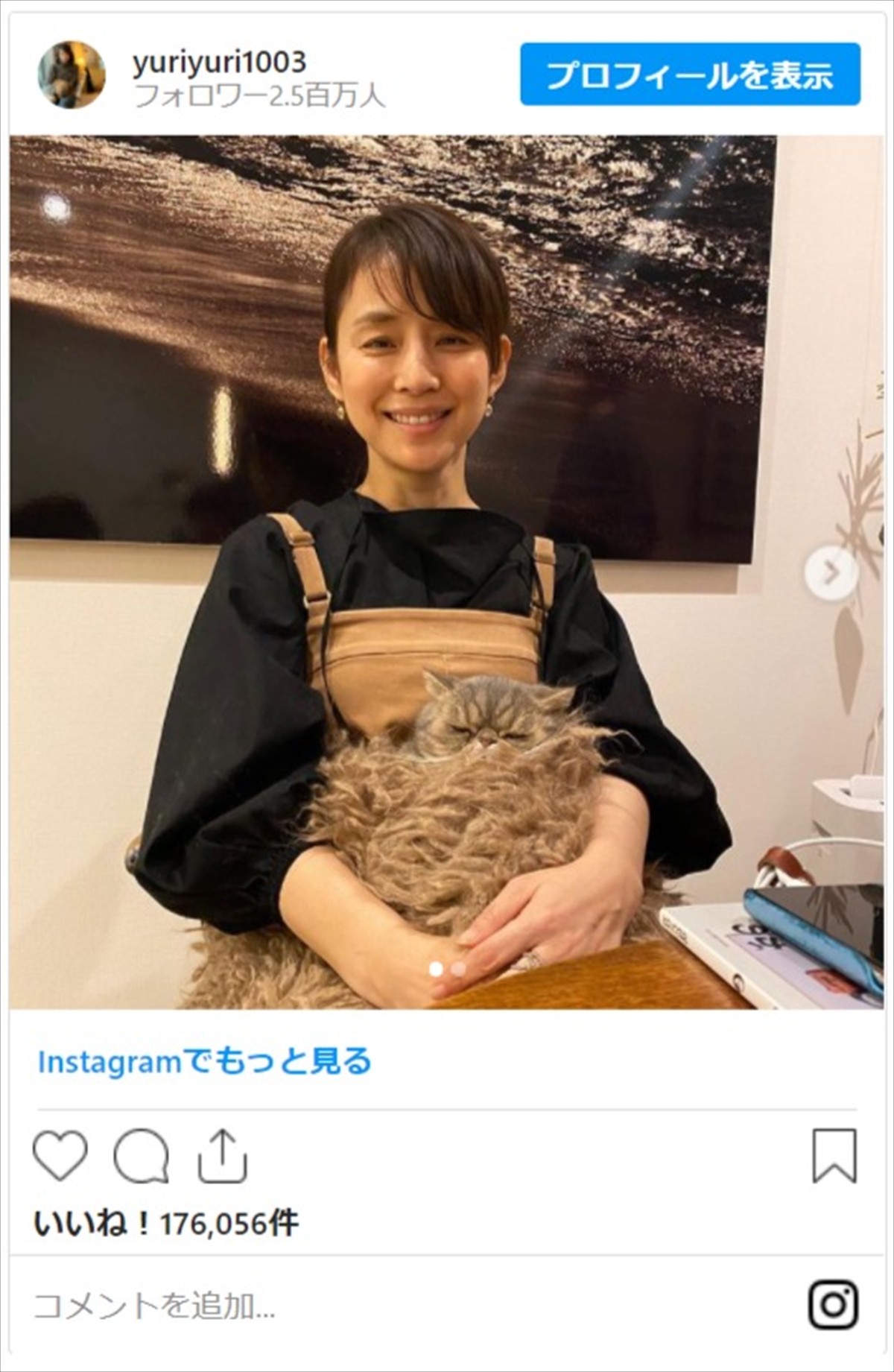 石田ゆり子「嫌がられても気にしない」 猫とじゃれる姿にネットほっこり