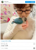 新井恵理那、メガネ姿で愛鳥とラブラブ中 ※「新井恵理那」インスタグラム