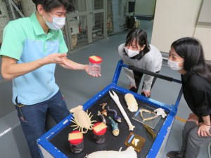 サンシャイン水族館で「ゾクゾク深海生物2021」開催