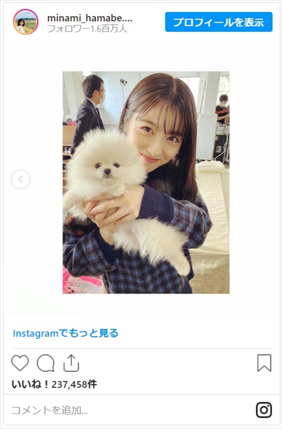 浜辺美波「連れて帰りたい」わんこに一目惚れ　たどたどしい抱き方もかわいい