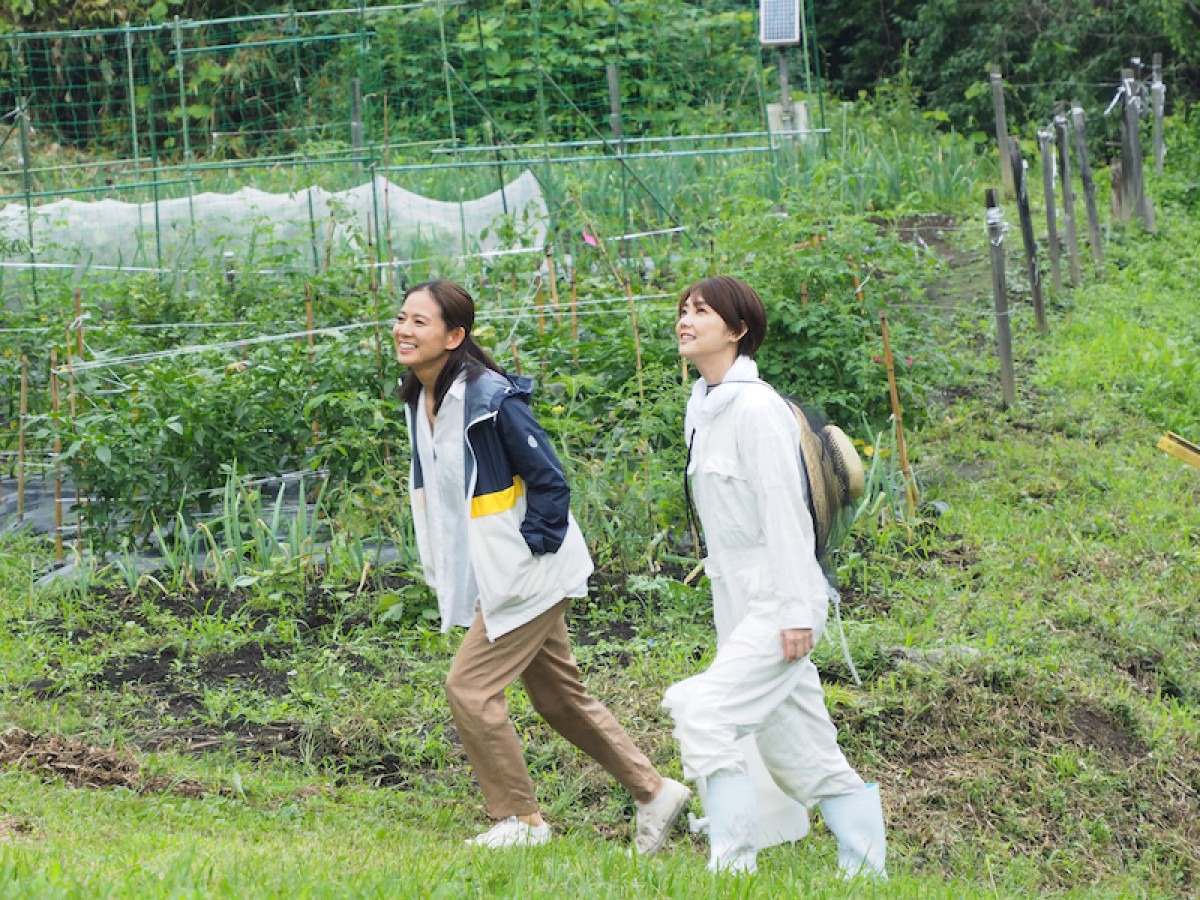 篠原ゆき子＆倉科カナ＆高畑淳子が鬼気迫る熱演を見せる『女たち』本予告＆場面写真解禁