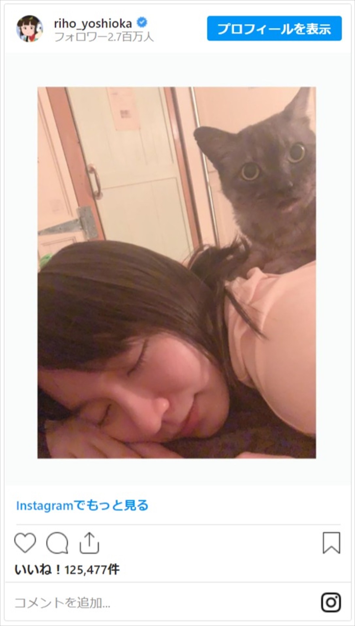 吉岡里帆、実家の猫を背中にうたた寝　ネット「なんて素敵な寝顔」
