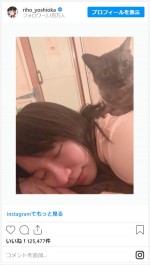 吉岡里帆、実家の猫とまったりうたた寝※「吉岡里帆」インスタグラム