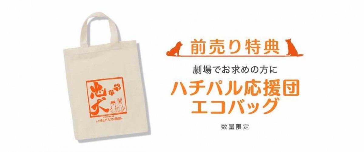 『ハチとパルマの物語』特報公開　オリジナル楽曲で少年と犬の出会いを映す