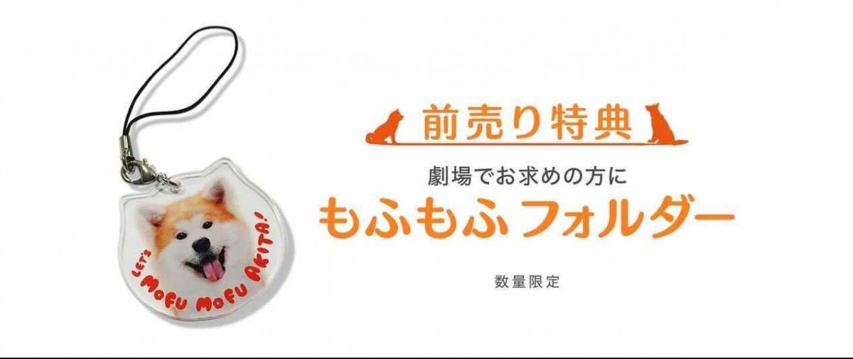 『ハチとパルマの物語』特報公開　オリジナル楽曲で少年と犬の出会いを映す