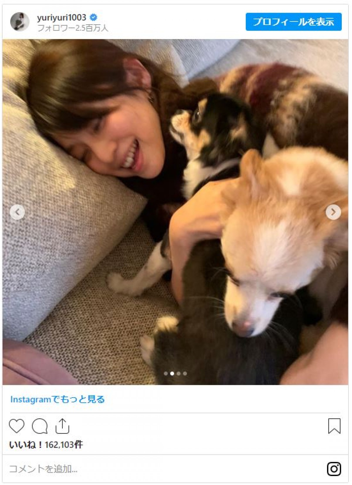 石田ゆり子「ぎゅうぎゅうしてきた」ワンコとたわむれる姿に「幸せそう」と反響
