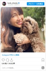 工藤静香、“つまみぐい犯人”の愛犬を確保　※「工藤静香」インスタグラム