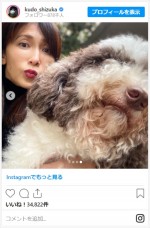 工藤静香、“つまみぐい犯人”の愛犬を確保　※「工藤静香」インスタグラム