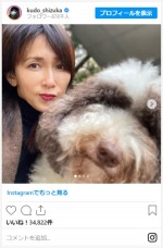 工藤静香、“つまみぐい犯人”の愛犬を確保　※「工藤静香」インスタグラム