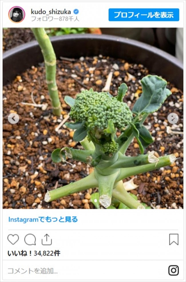 インスタ 工藤静香 工藤静香のインスタ料理画像が超まずそう！盛り付けセンスなさすぎｗｗ