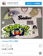 稲村亜美、買いそろえた東京ヤクルトスワローズ応援グッズを披露　※「稲村亜美」インスタグラム