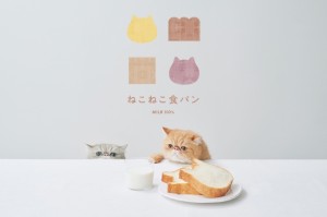 『セーラームーン』×「ねこねこ食パン」コラボ商品が登場！