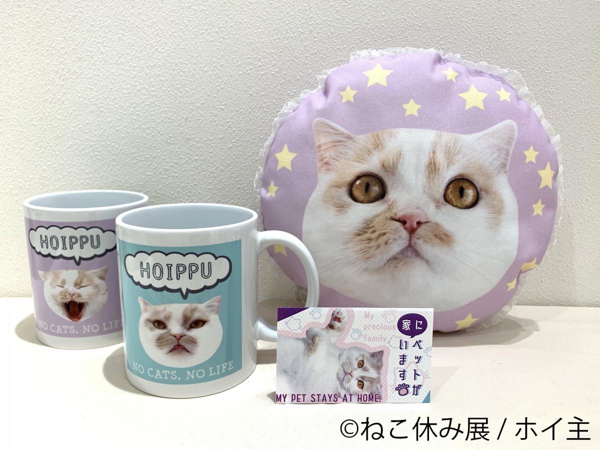 ねこ休み展 in 浦和