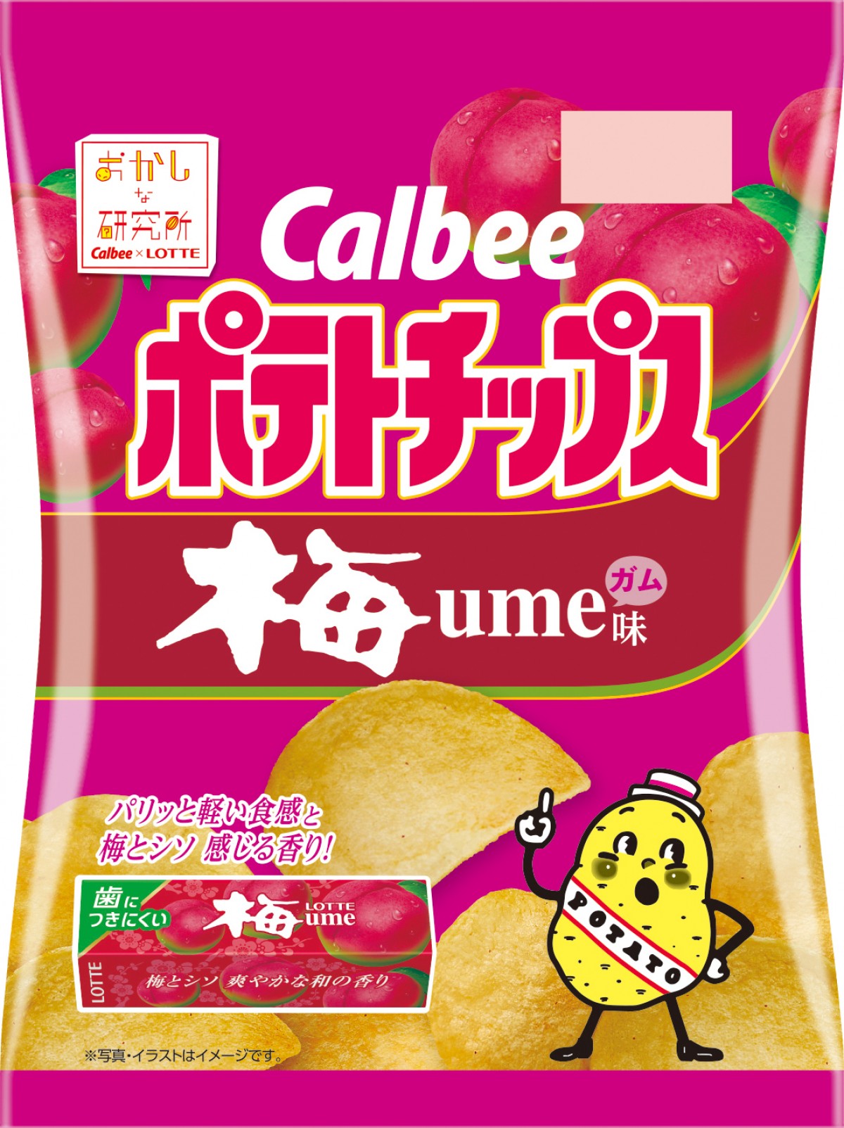 ポテトチップス ブルーベリーガム味、ポテトチップス 梅ガム味