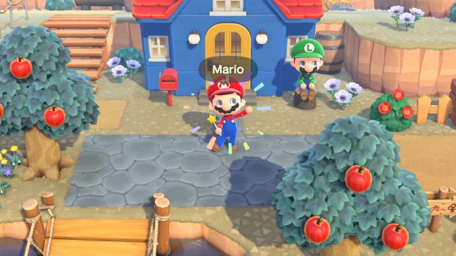 ５個　マリオ どうぶつの森