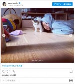 娘が撮影　安藤サクラが愛猫と戯れる様子　※「安藤サクラ」インスタグラム