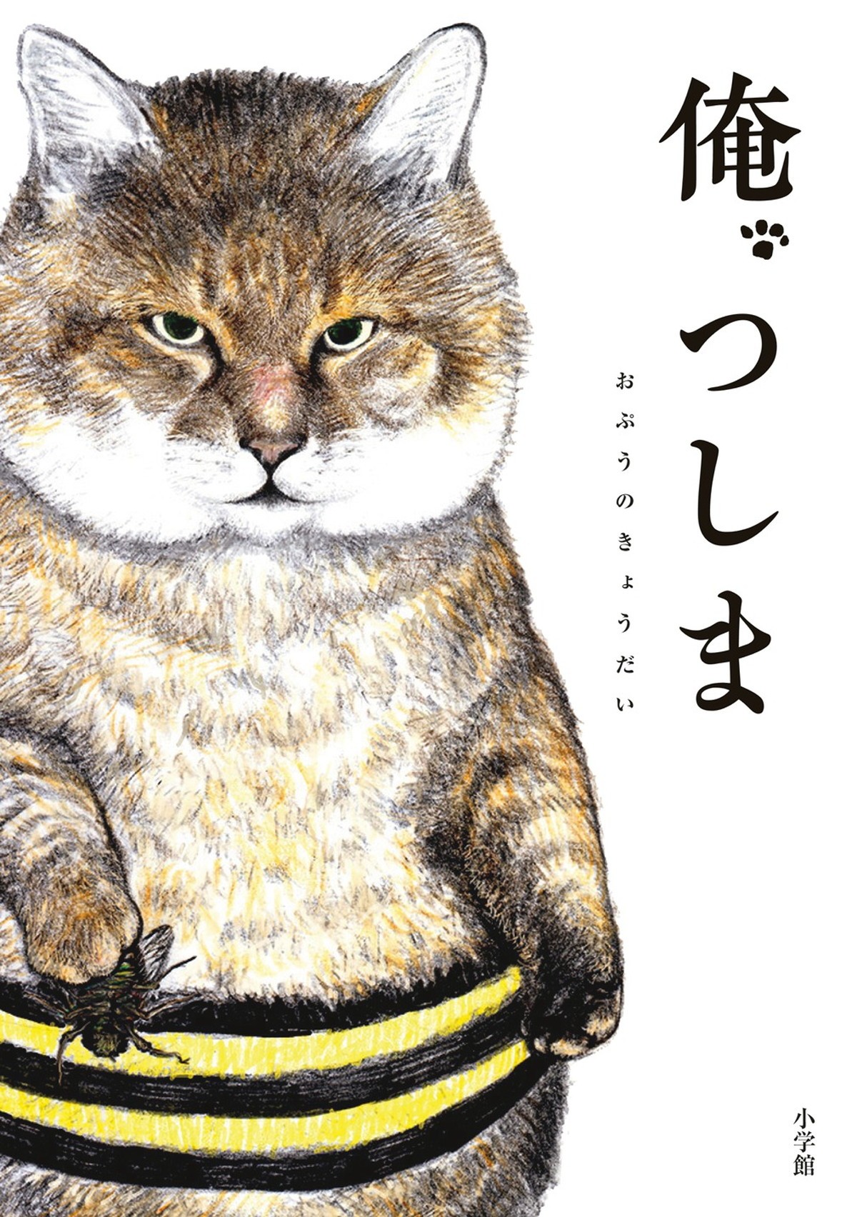 大塚明夫＆田中真弓、猫とおじいちゃん役に　TVアニメ『俺、つしま』今夏放送決定