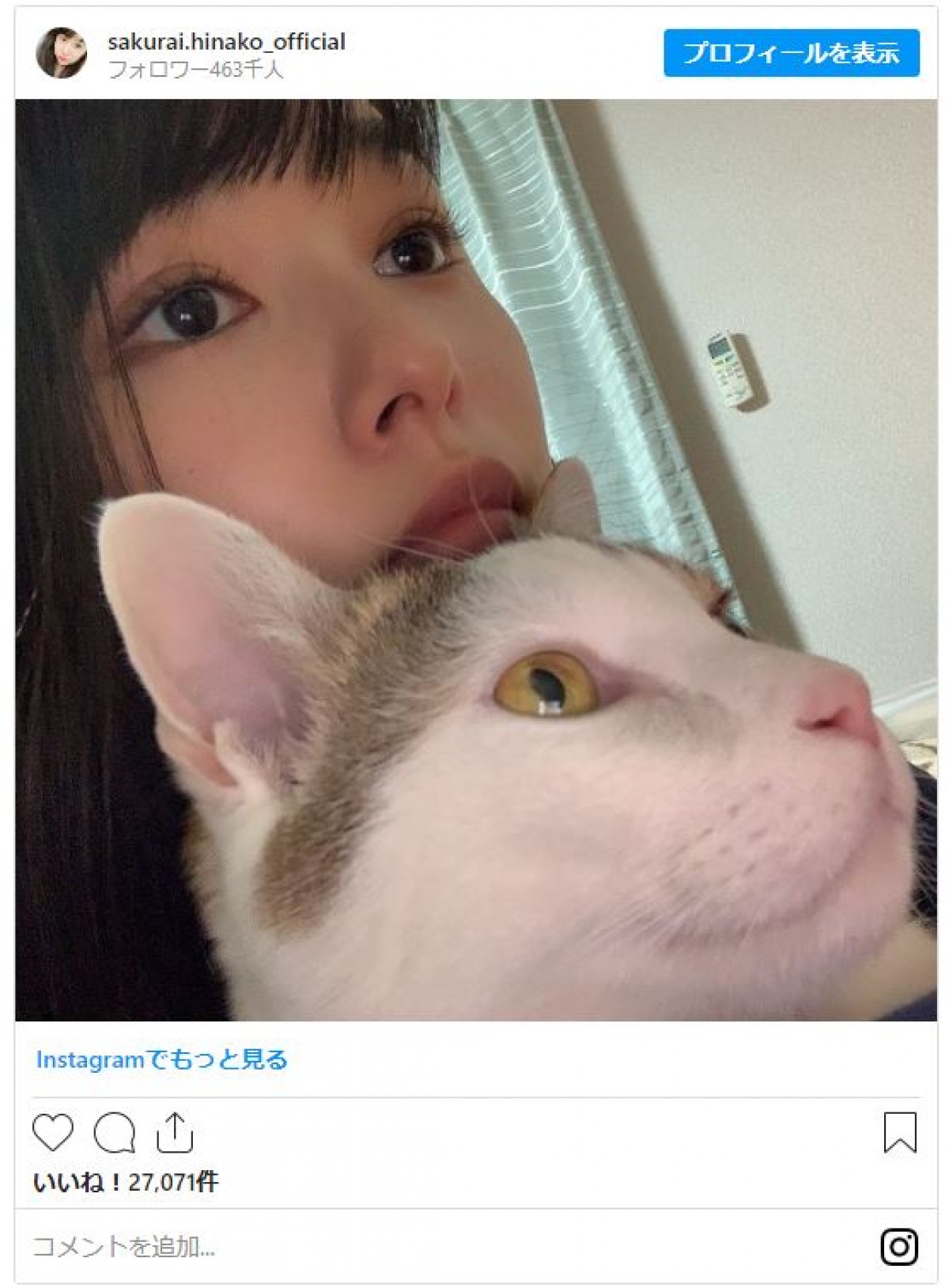 桜井日奈子、“猫の日”に愛猫と同じ表情「そっくり」「似てる」と反響