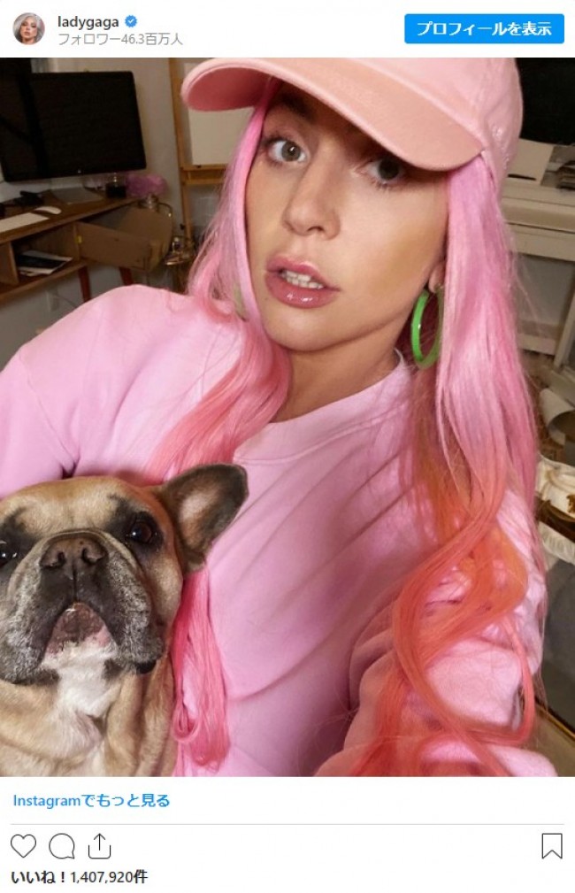 レディー ガガ 愛犬2匹を強奪される 散歩係が銃撃され犯人は逃走 21年2月26日 写真 セレブ ゴシップ ニュース クランクイン