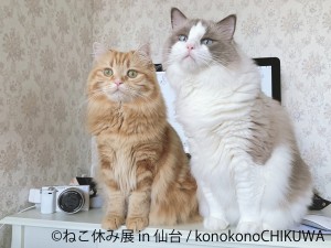 ねこ休み展 in 仙台