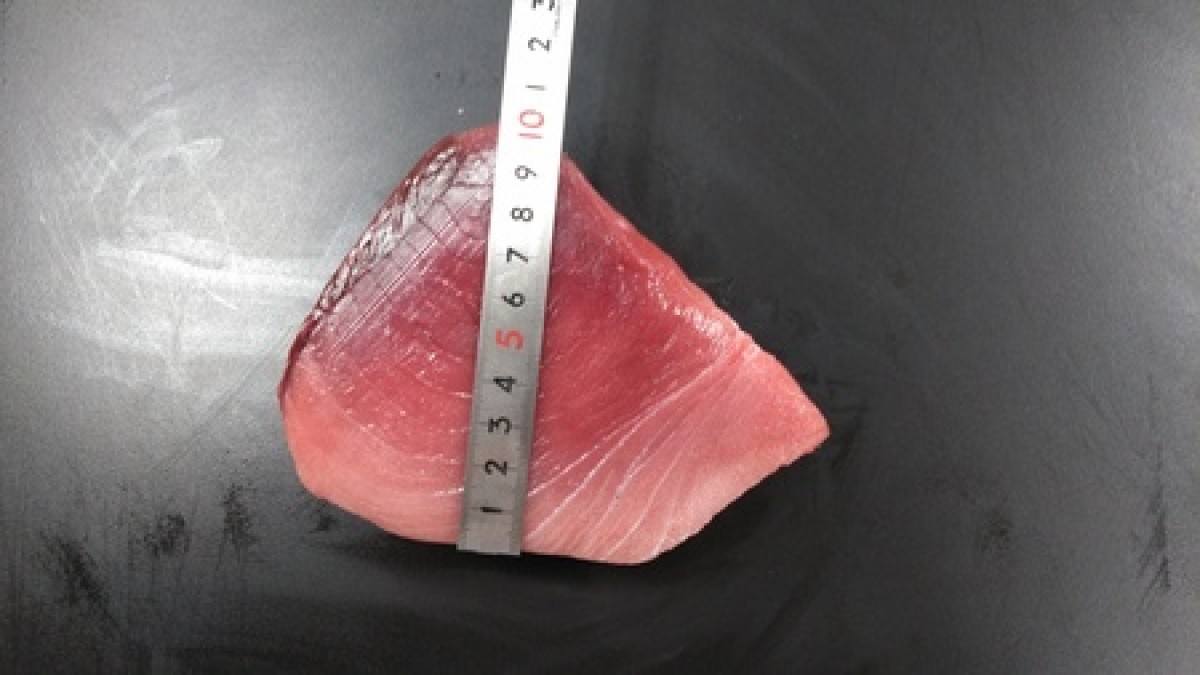 「くら寿司」希少な高級魚をリーズナブルな価格で販売！