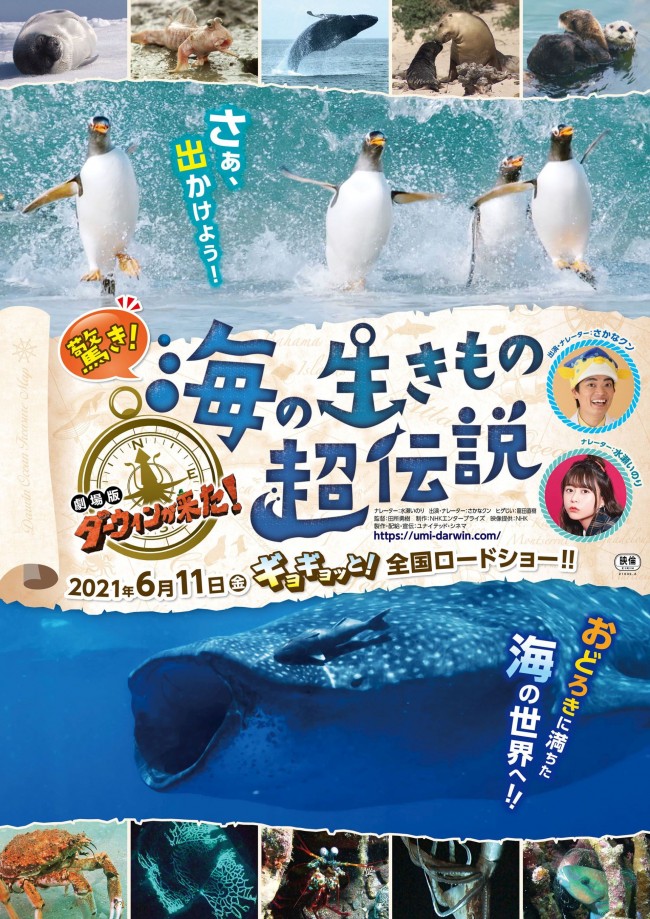 『驚き！海の生きもの超伝説 劇場版ダーウィンが来た！』メインビジュアル